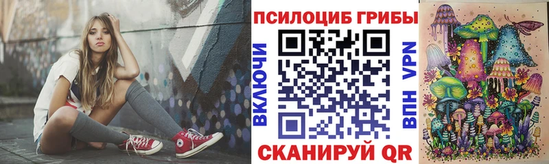 Псилоцибиновые грибы Cubensis  закладка  Курчатов 